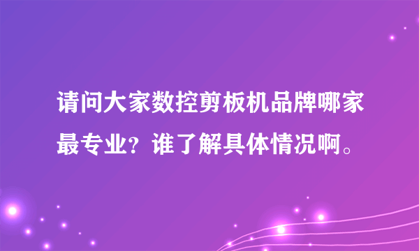 请问大家数控剪板机品牌哪家最专业？谁了解具体情况啊。