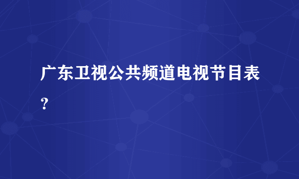 广东卫视公共频道电视节目表？