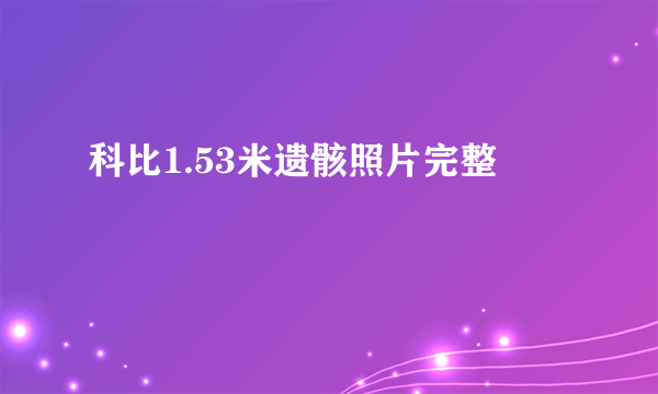 科比1.53米遗骸照片完整