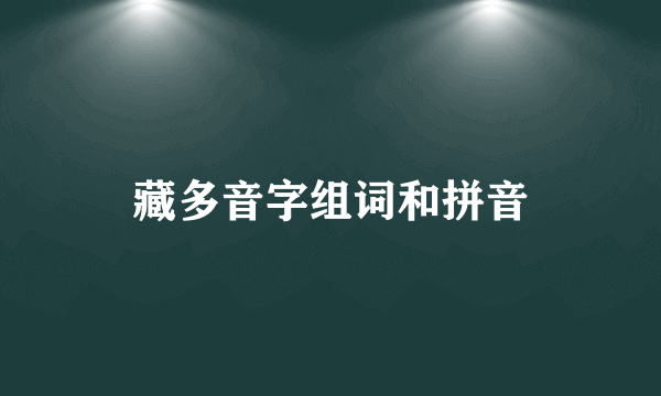 藏多音字组词和拼音