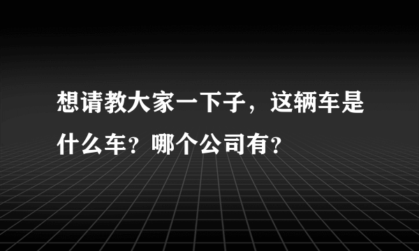 想请教大家一下子，这辆车是什么车？哪个公司有？