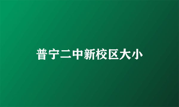 普宁二中新校区大小