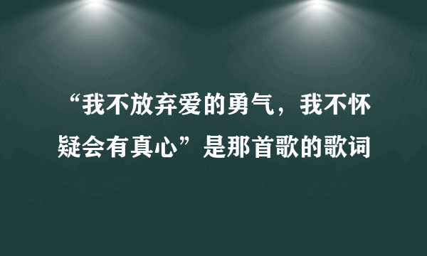 “我不放弃爱的勇气，我不怀疑会有真心”是那首歌的歌词