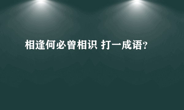 相逢何必曾相识 打一成语？