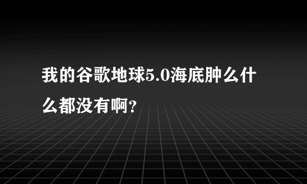 我的谷歌地球5.0海底肿么什么都没有啊？