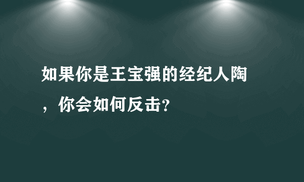 如果你是王宝强的经纪人陶喆，你会如何反击？