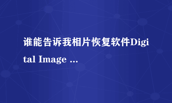 谁能告诉我相片恢复软件Digital Image Recovery具体怎么用，我是英文界面