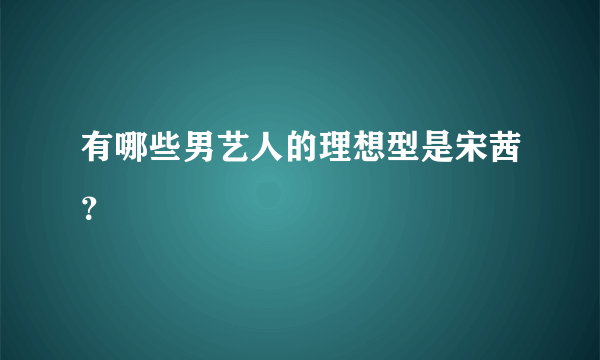 有哪些男艺人的理想型是宋茜？