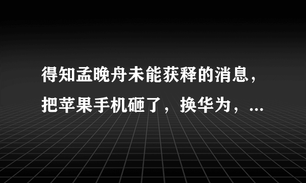 得知孟晚舟未能获释的消息，把苹果手机砸了，换华为，有啥推荐？