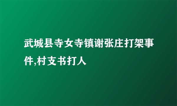 武城县寺女寺镇谢张庄打架事件,村支书打人