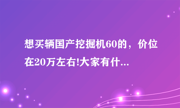 想买辆国产挖掘机60的，价位在20万左右!大家有什么建议？