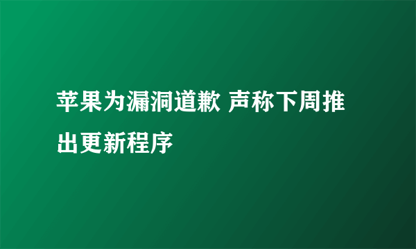 苹果为漏洞道歉 声称下周推出更新程序