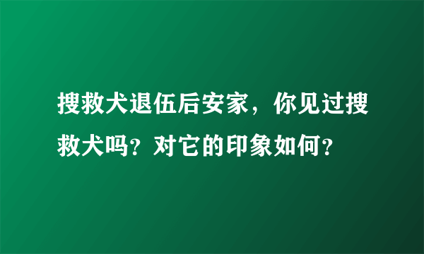 搜救犬退伍后安家，你见过搜救犬吗？对它的印象如何？