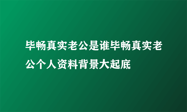 毕畅真实老公是谁毕畅真实老公个人资料背景大起底