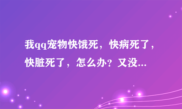 我qq宠物快饿死，快病死了，快脏死了，怎么办？又没有元宝！帮帮忙。~-~55555