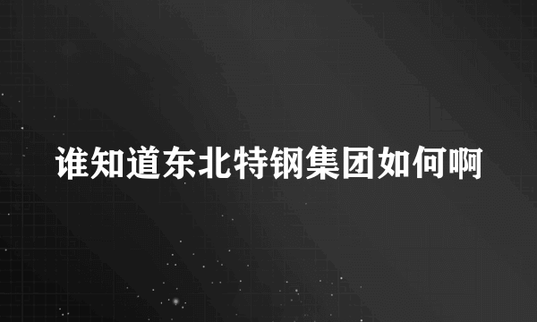 谁知道东北特钢集团如何啊