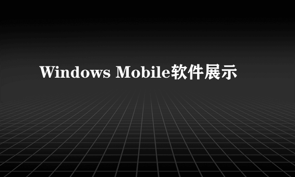 Windows Mobile软件展示