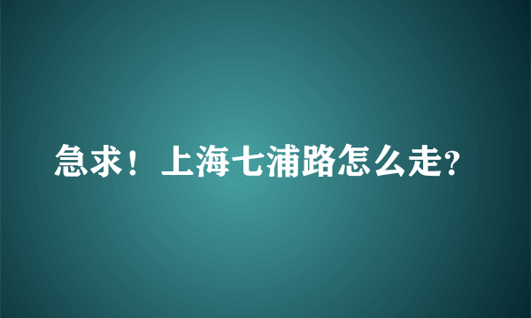 急求！上海七浦路怎么走？