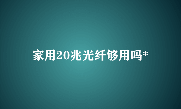 家用20兆光纤够用吗*