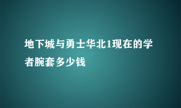 地下城与勇士华北1现在的学者腕套多少钱