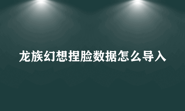 龙族幻想捏脸数据怎么导入