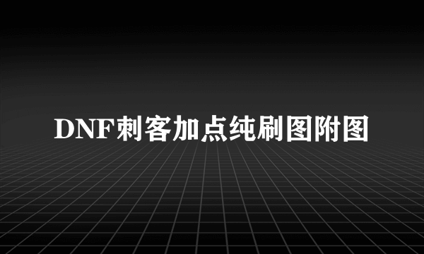 DNF刺客加点纯刷图附图