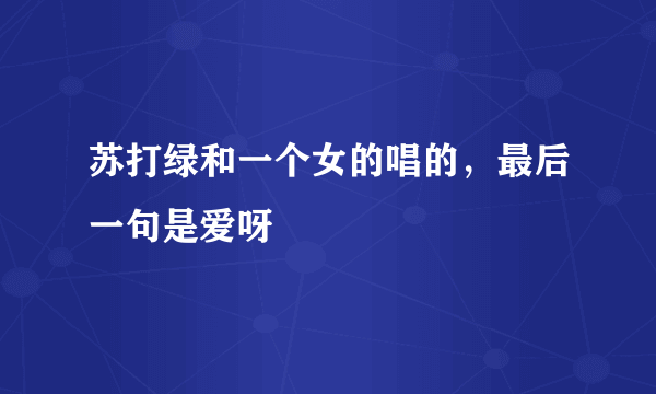 苏打绿和一个女的唱的，最后一句是爱呀