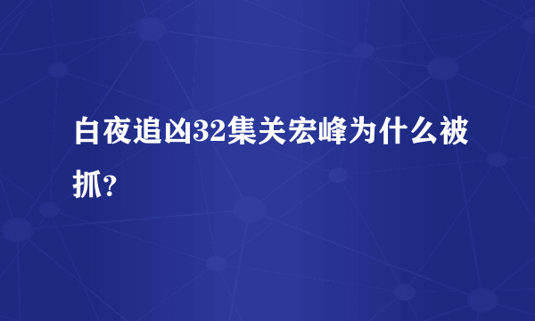 白夜追凶32集关宏峰为什么被抓？