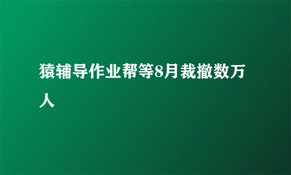 猿辅导作业帮等8月裁撤数万人