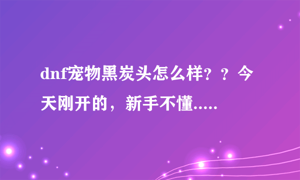 dnf宠物黑炭头怎么样？？今天刚开的，新手不懂...........