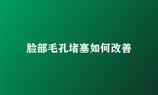 脸部毛孔堵塞如何改善