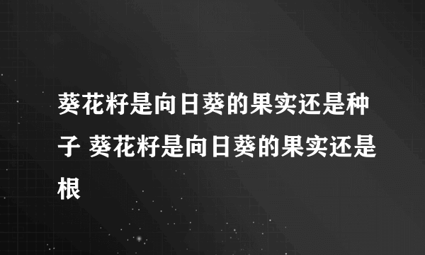 葵花籽是向日葵的果实还是种子 葵花籽是向日葵的果实还是根