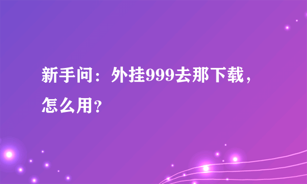 新手问：外挂999去那下载，怎么用？