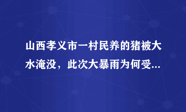 山西孝义市一村民养的猪被大水淹没，此次大暴雨为何受灾这么严重？