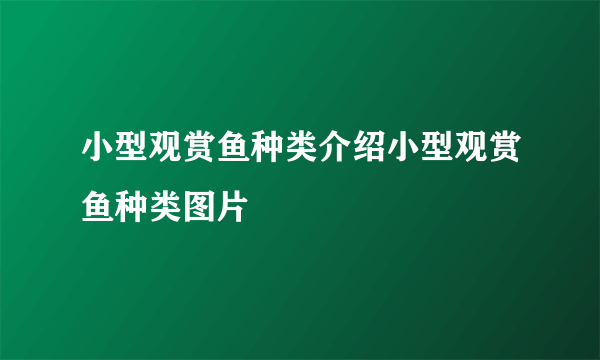 小型观赏鱼种类介绍小型观赏鱼种类图片