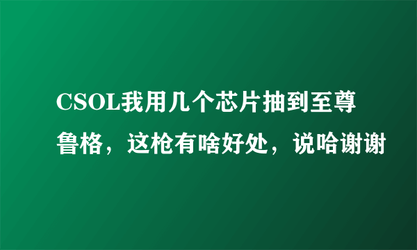 CSOL我用几个芯片抽到至尊鲁格，这枪有啥好处，说哈谢谢