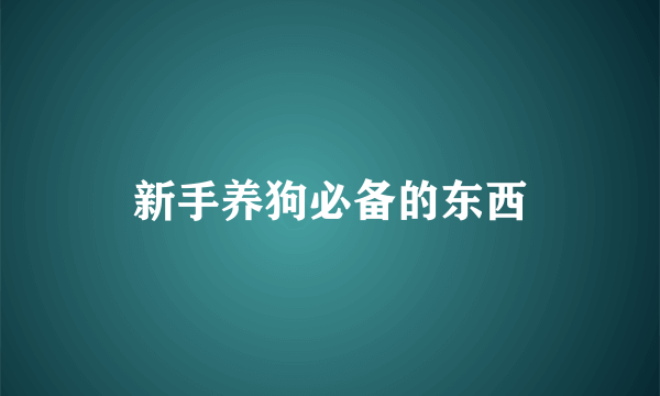 新手养狗必备的东西