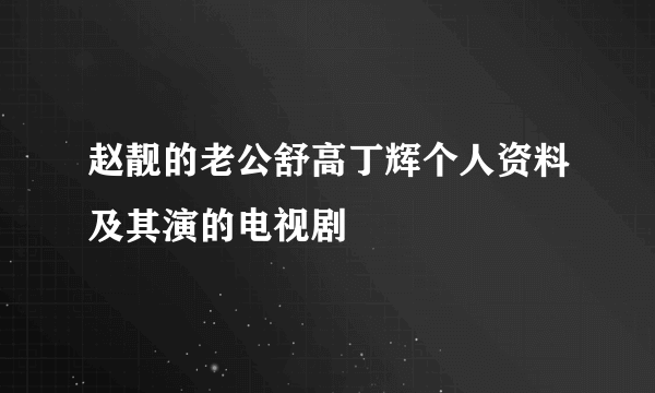 赵靓的老公舒高丁辉个人资料及其演的电视剧