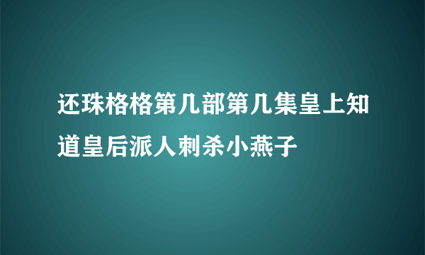 还珠格格第几部第几集皇上知道皇后派人刺杀小燕子