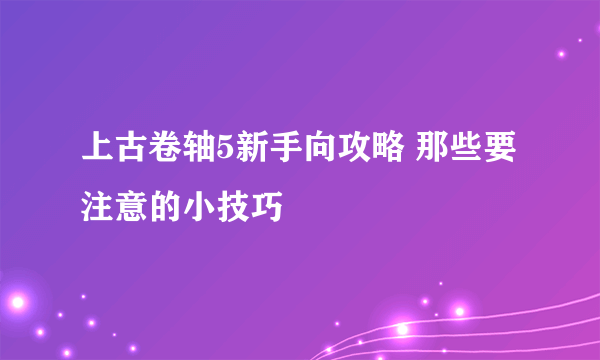 上古卷轴5新手向攻略 那些要注意的小技巧