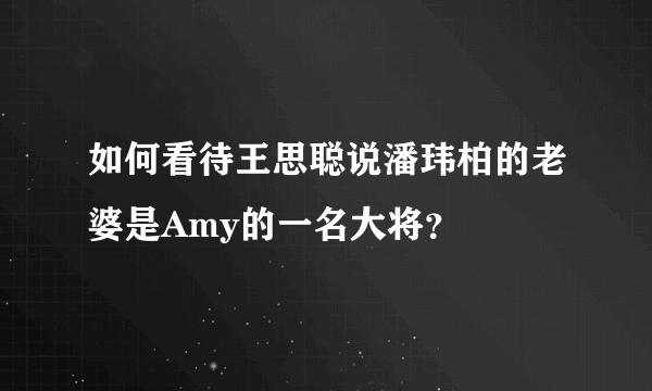 如何看待王思聪说潘玮柏的老婆是Amy的一名大将？