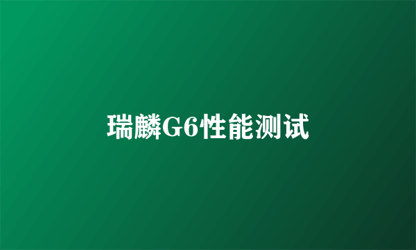 瑞麟G6性能测试