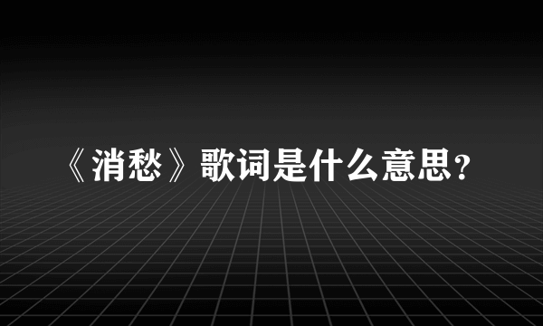 《消愁》歌词是什么意思？