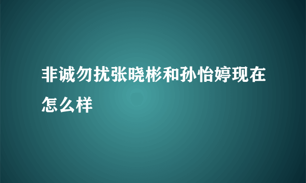 非诚勿扰张晓彬和孙怡婷现在怎么样