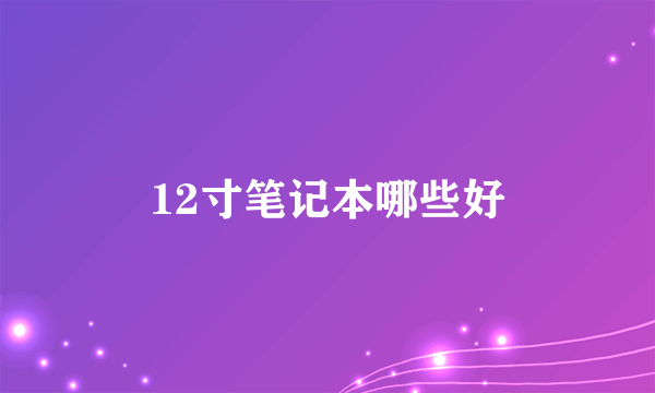 12寸笔记本哪些好