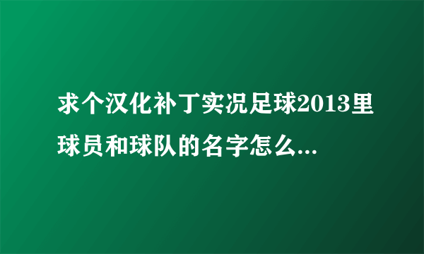 求个汉化补丁实况足球2013里球员和球队的名字怎么不是中文