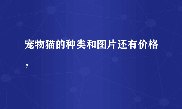 宠物猫的种类和图片还有价格，