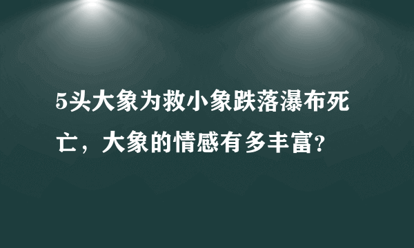 5头大象为救小象跌落瀑布死亡，大象的情感有多丰富？