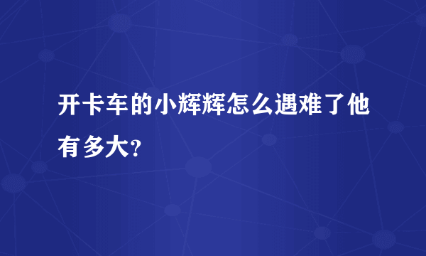 开卡车的小辉辉怎么遇难了他有多大？