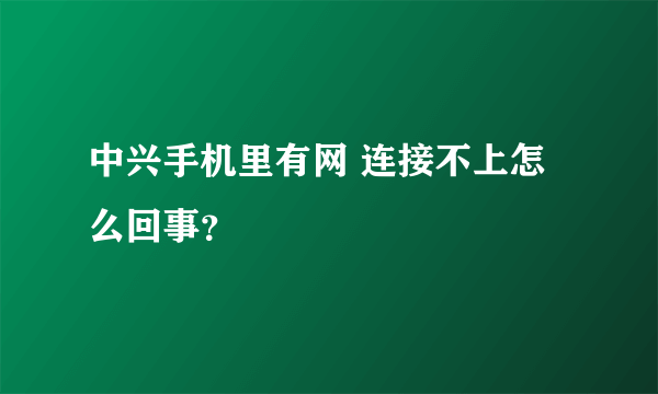 中兴手机里有网 连接不上怎么回事？